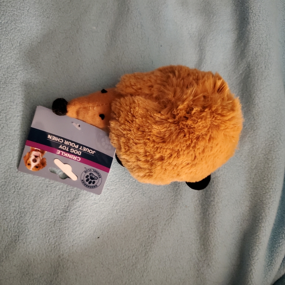 Dog toy hedgehog
